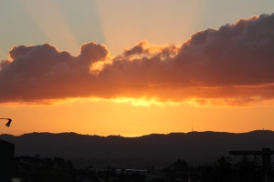 Sonnenuntergang über West- Auckland